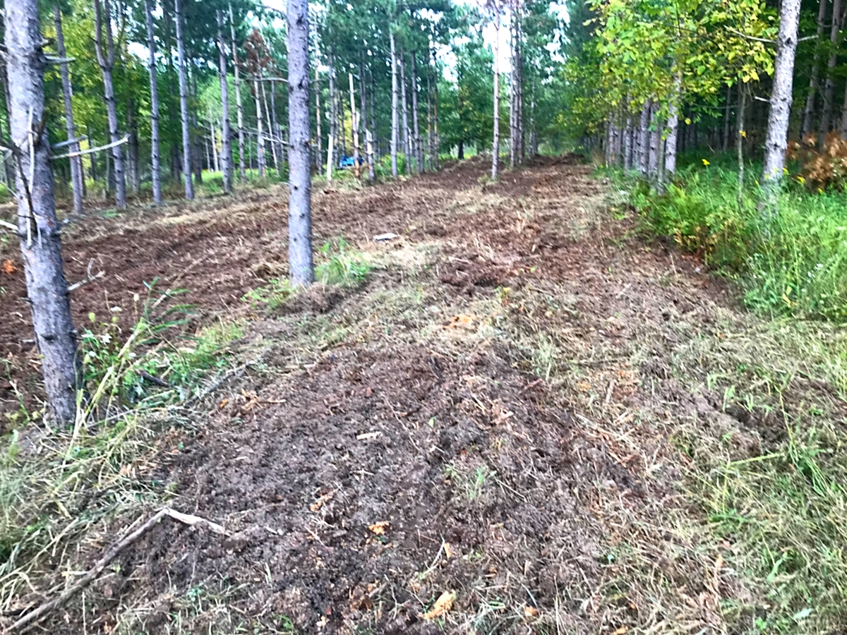 Clearing the land for Camp10 Gardens