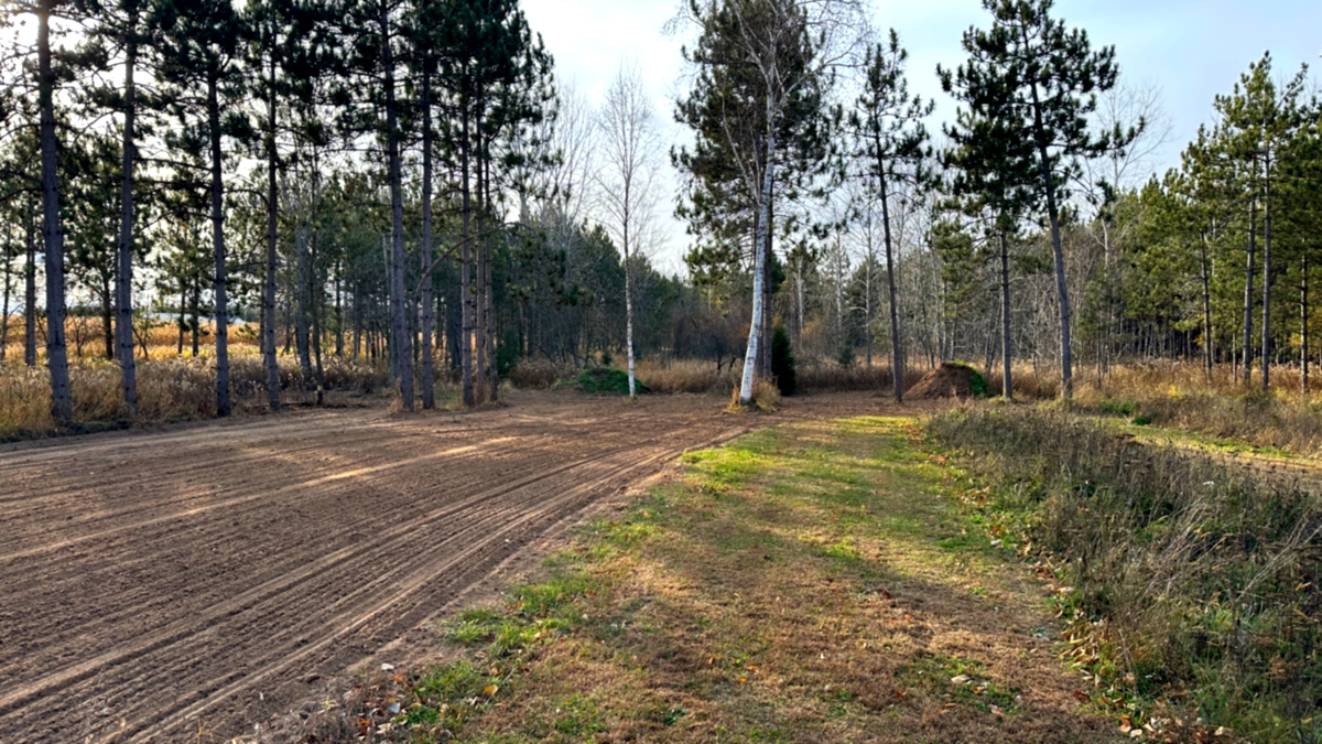 Camp10 Gardens new gardens 2025